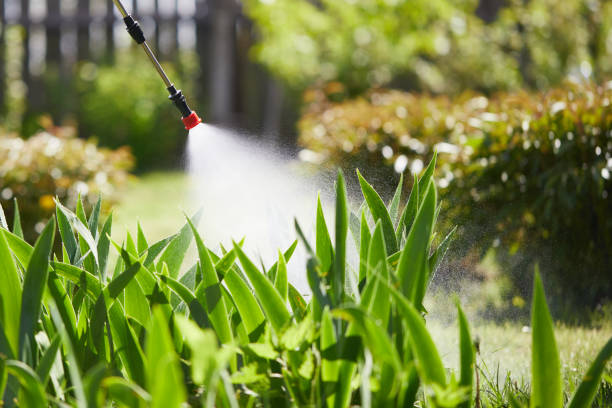 24/7 Emergency Fumigation Services experts in Haslett, MI