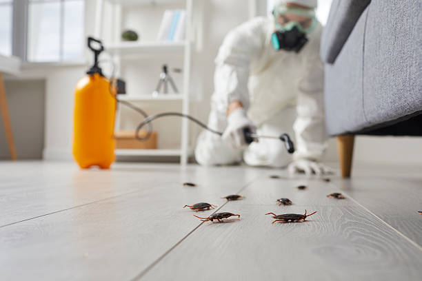 Trusted Emergency Pest Control service in Haslett, MI - Nex Pest Control