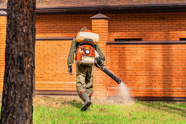 Trusted Cockroach Control service in Haslett, MI - Nex Pest Control